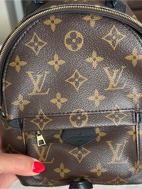 Louis Vuitton Monogram Palm Springs Mini